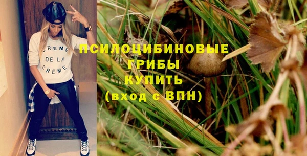 соль ск Аркадак